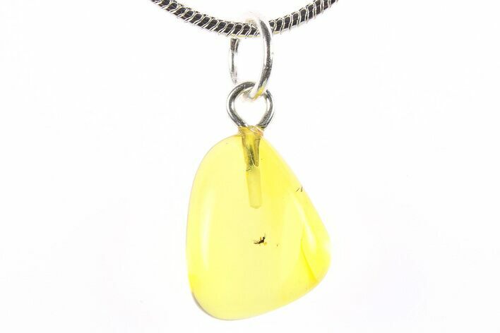 Polished Baltic Amber Pendant (Necklace) - Contains Fly! #273768